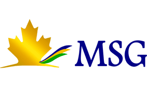 Malik Solutions Group Logo